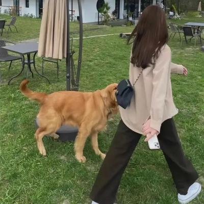 我是那不勒斯人